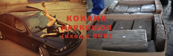 стафф Ельня
