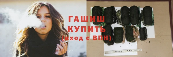 стафф Ельня